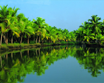 alleppey Tourist Taxi