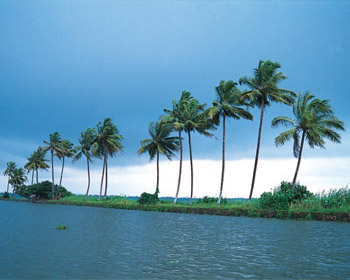 Alleppey Cabs service